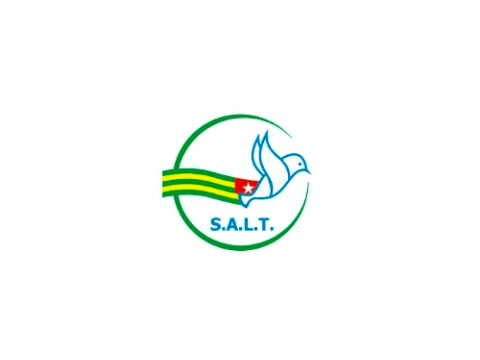 logo salt